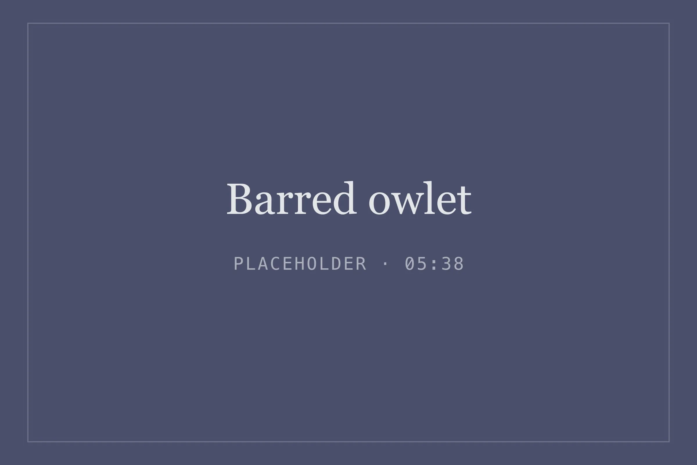 Placeholder image for barred owlet