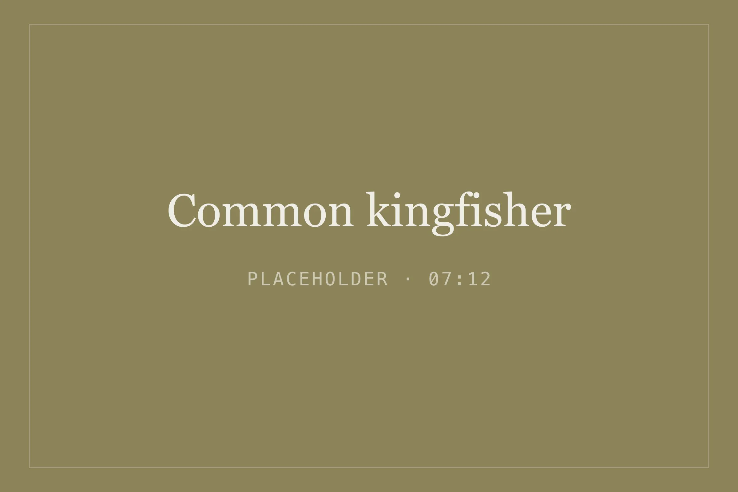 Placeholder image for common kingfisher