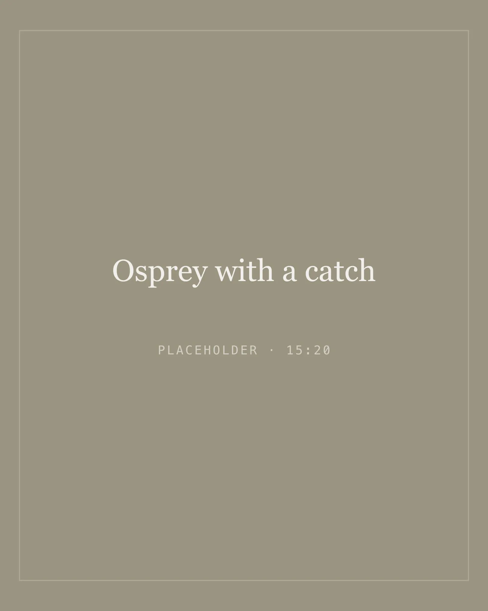 Placeholder image for osprey with a catch